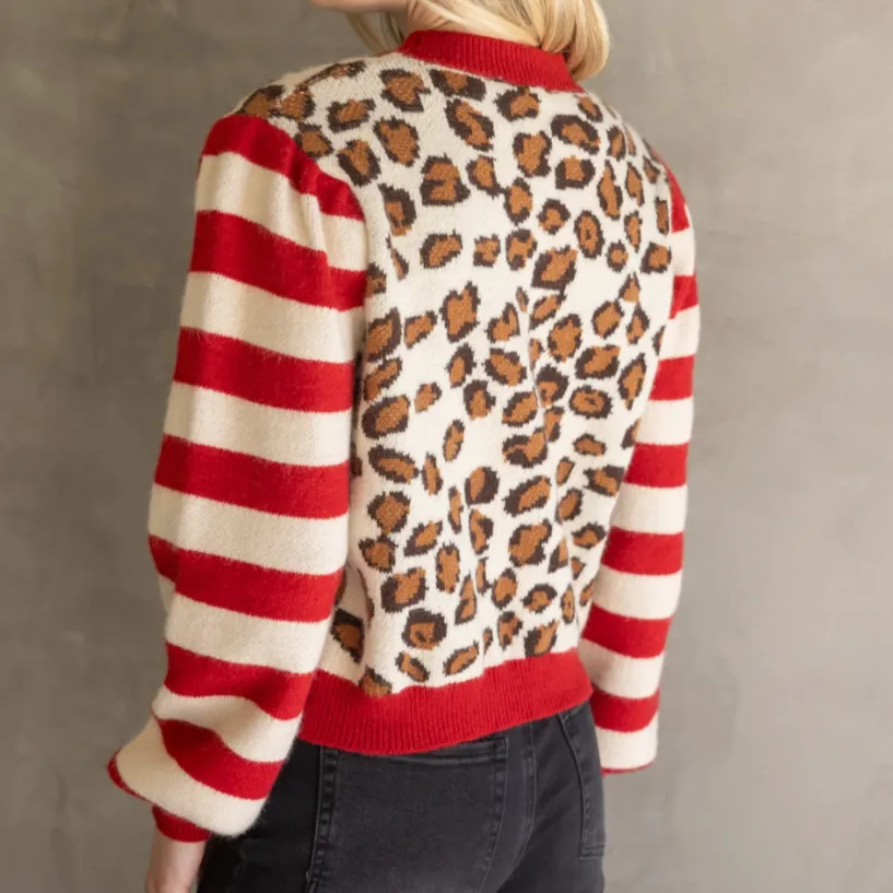 Make Up Your Mind Striped Cheetah Print Sweater