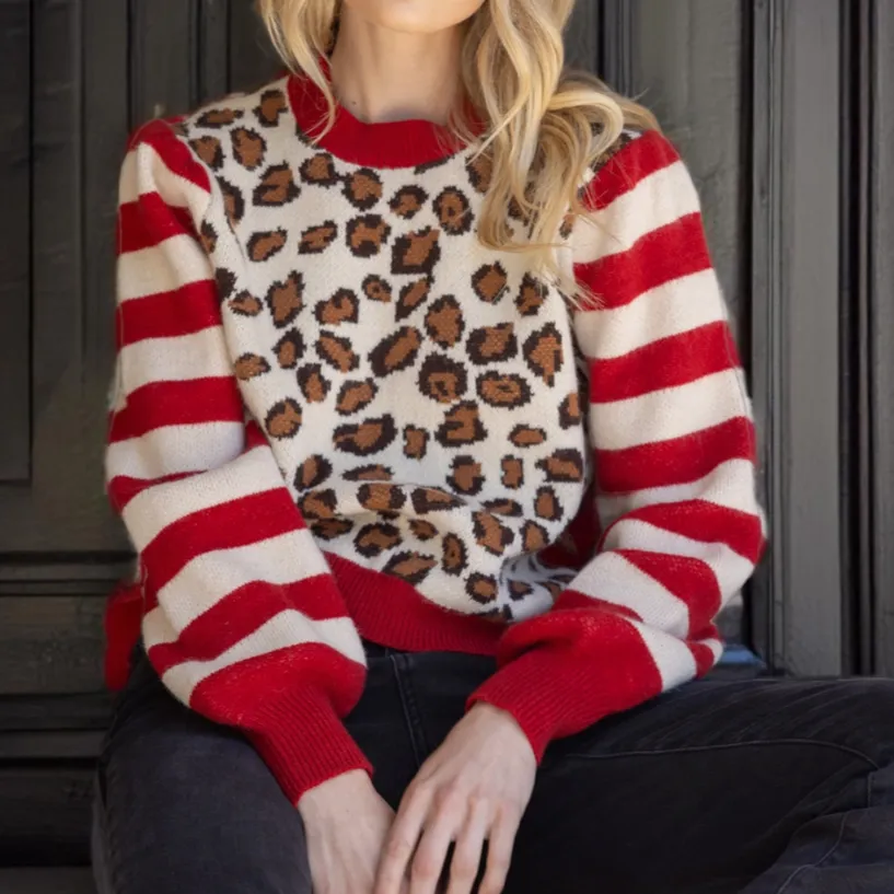Make Up Your Mind Striped Cheetah Print Sweater