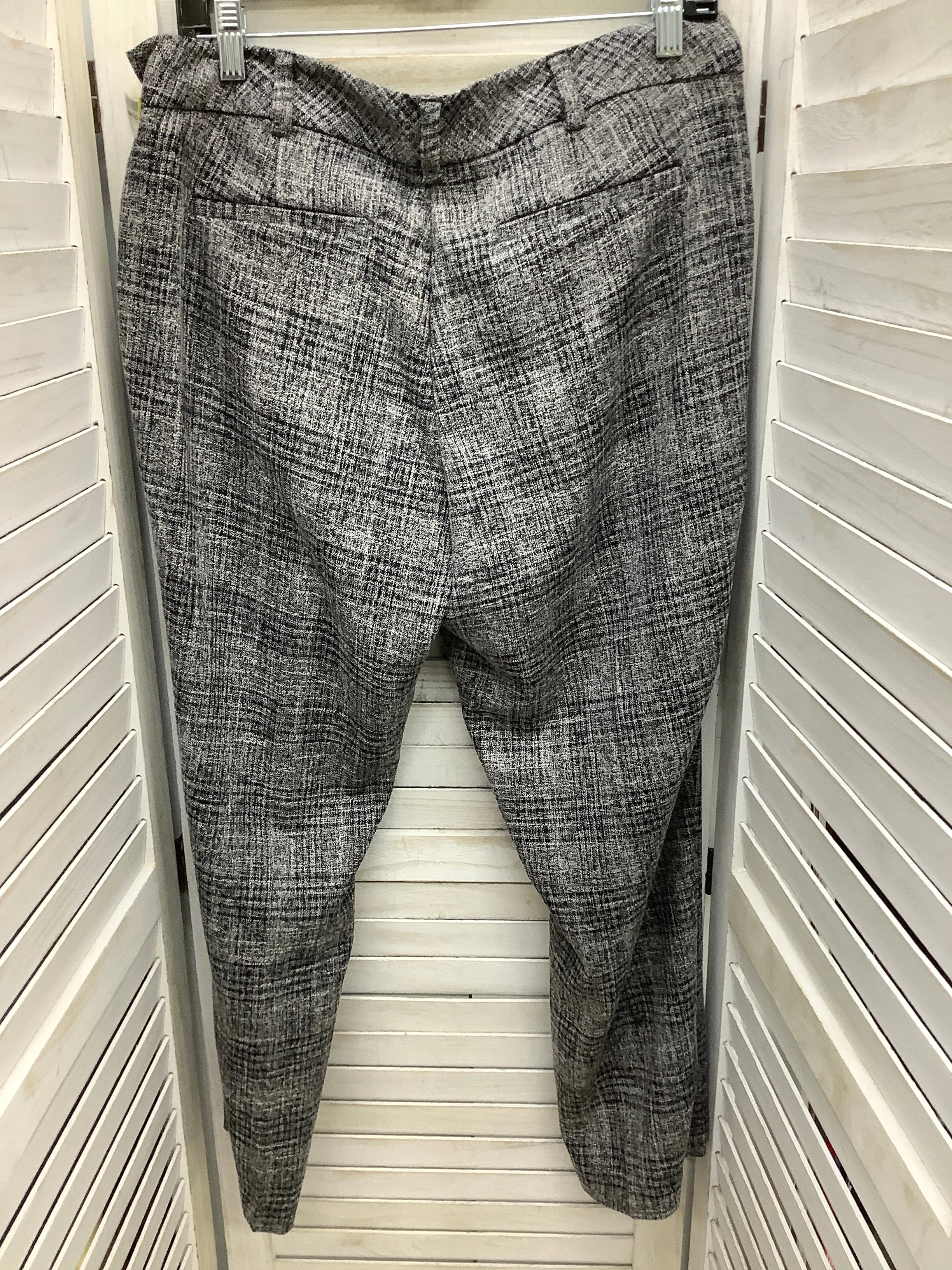 Pants Chinos & Khakis By Clothes Mentor In Multi-colored, Size: 12