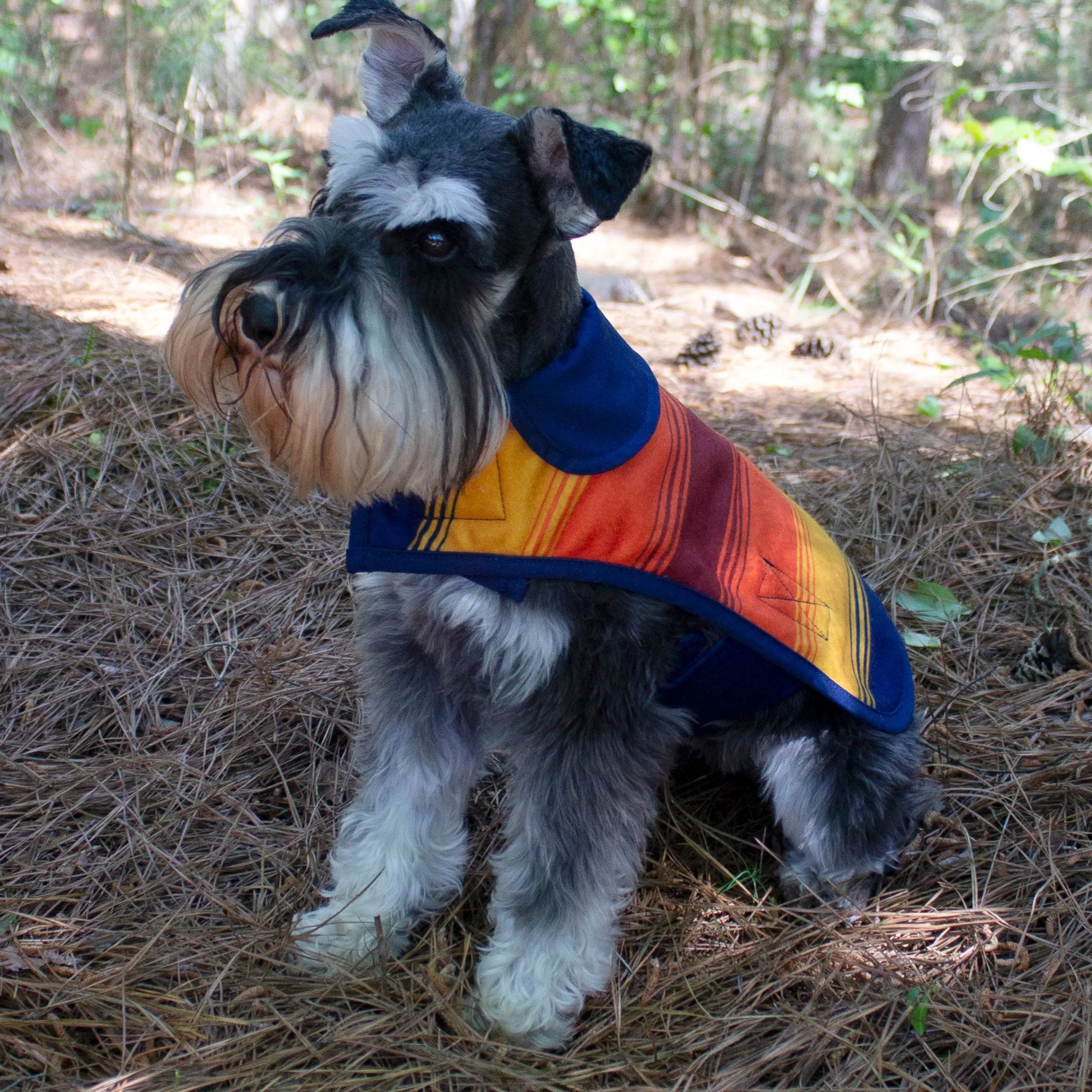 Pendleton  Grand Canyon National Park Coat
