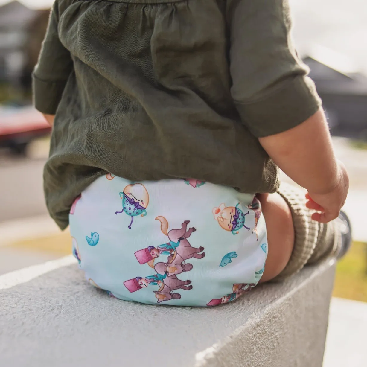 Ultimate Wipeable Cloth Nappy V1.0 | Dumpty