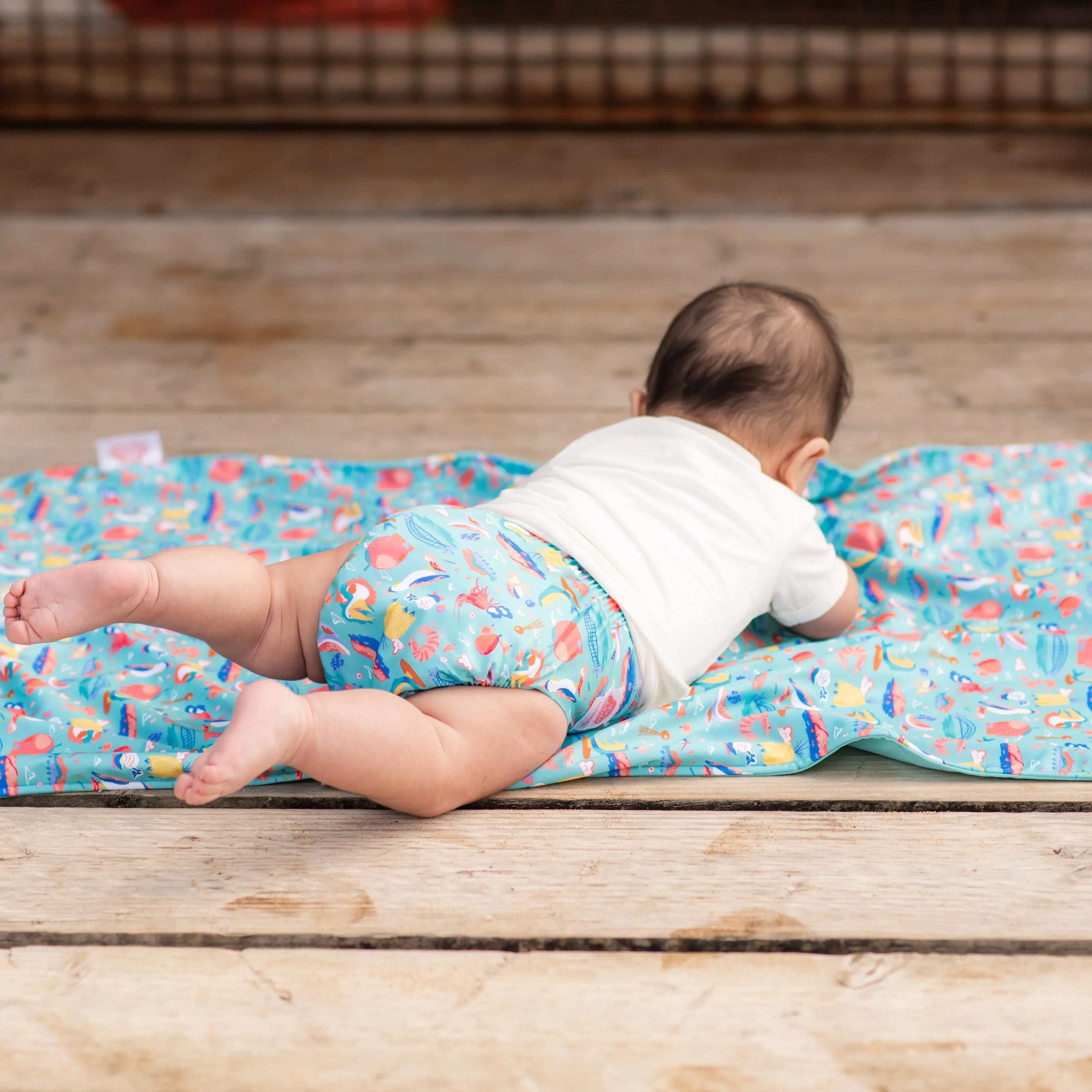 Ultimate Wipeable Cloth Nappy V3.0 | Ellie Whittaker - Big Things